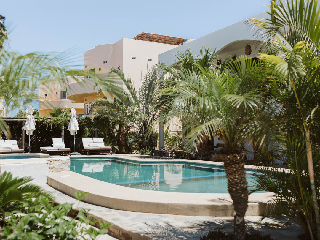 Olas De Cerritos主图