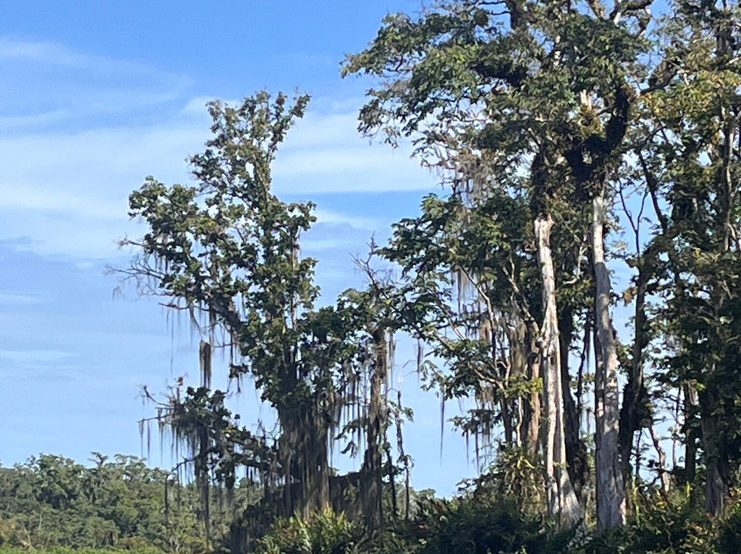 Rio San San景点图片