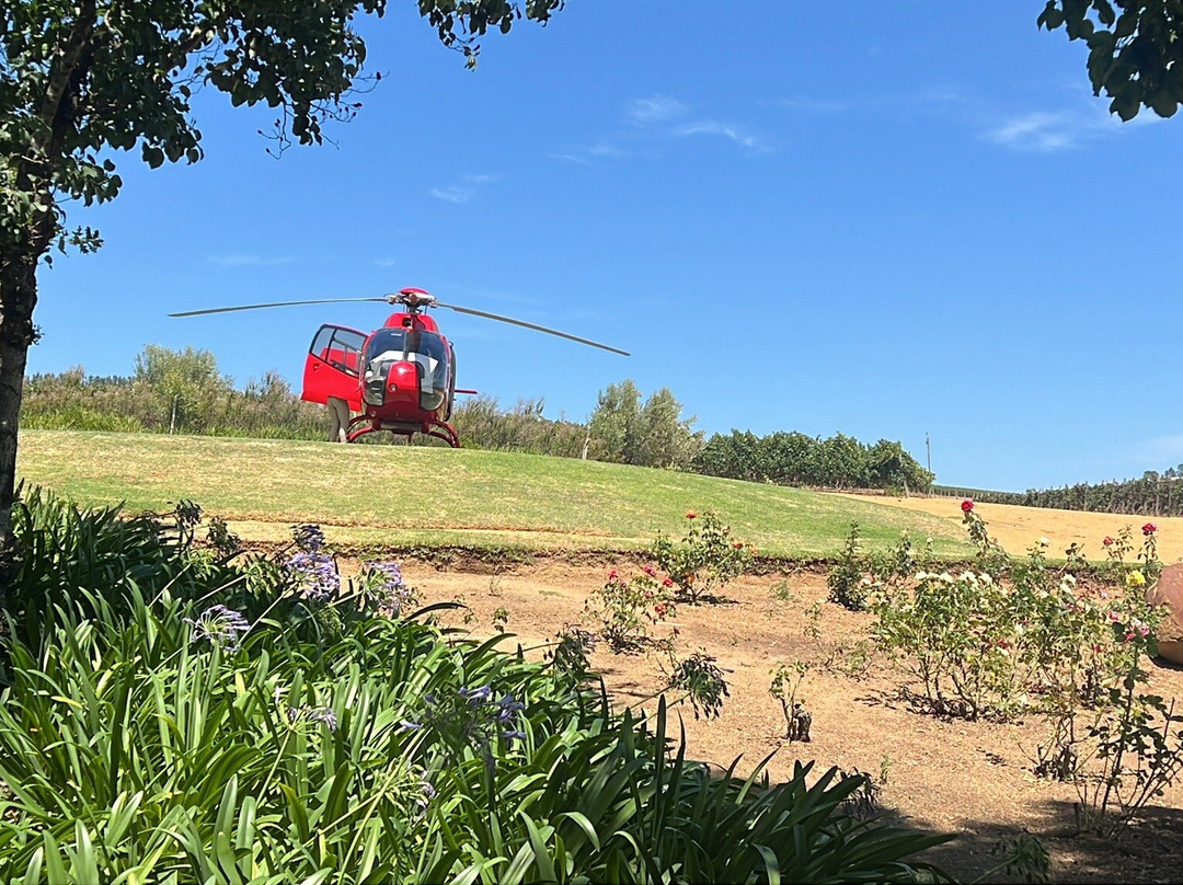 Muratie-斯泰伦博斯必去景点