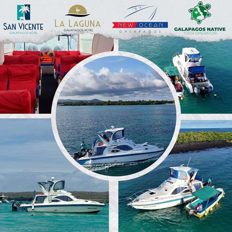 Ferry Galápagos - New Ocean-维里亚米尔港必去景点