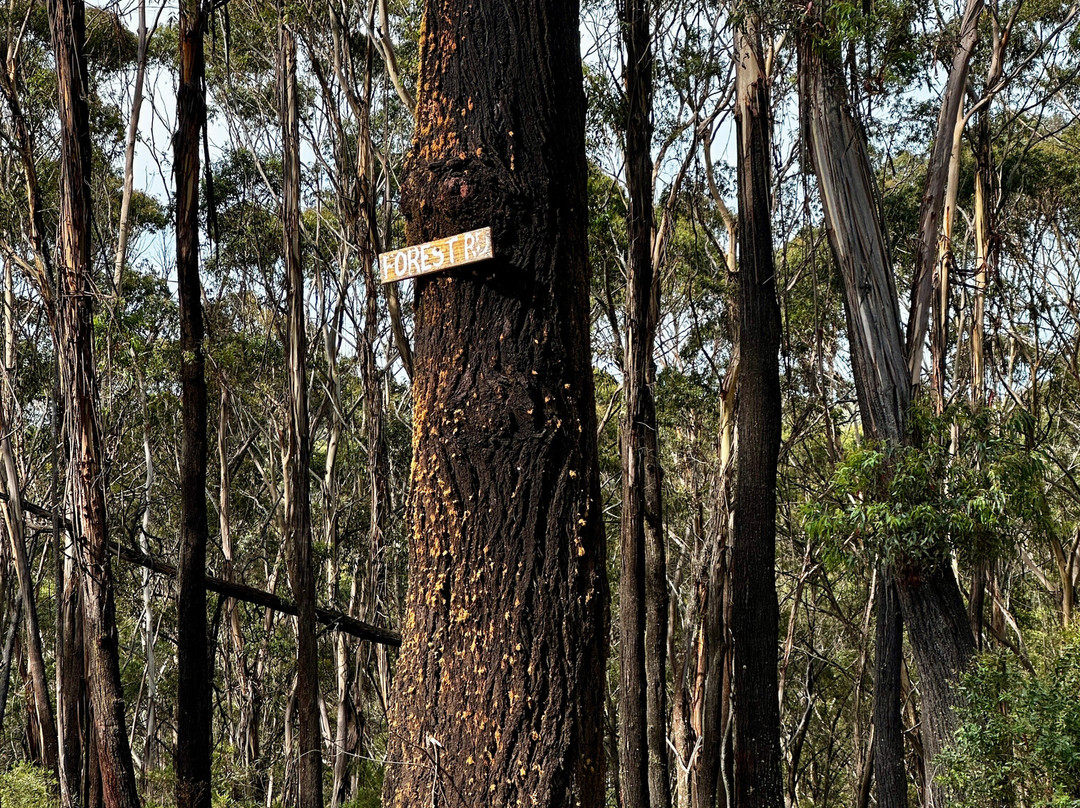 Canyonleigh Retreat主图