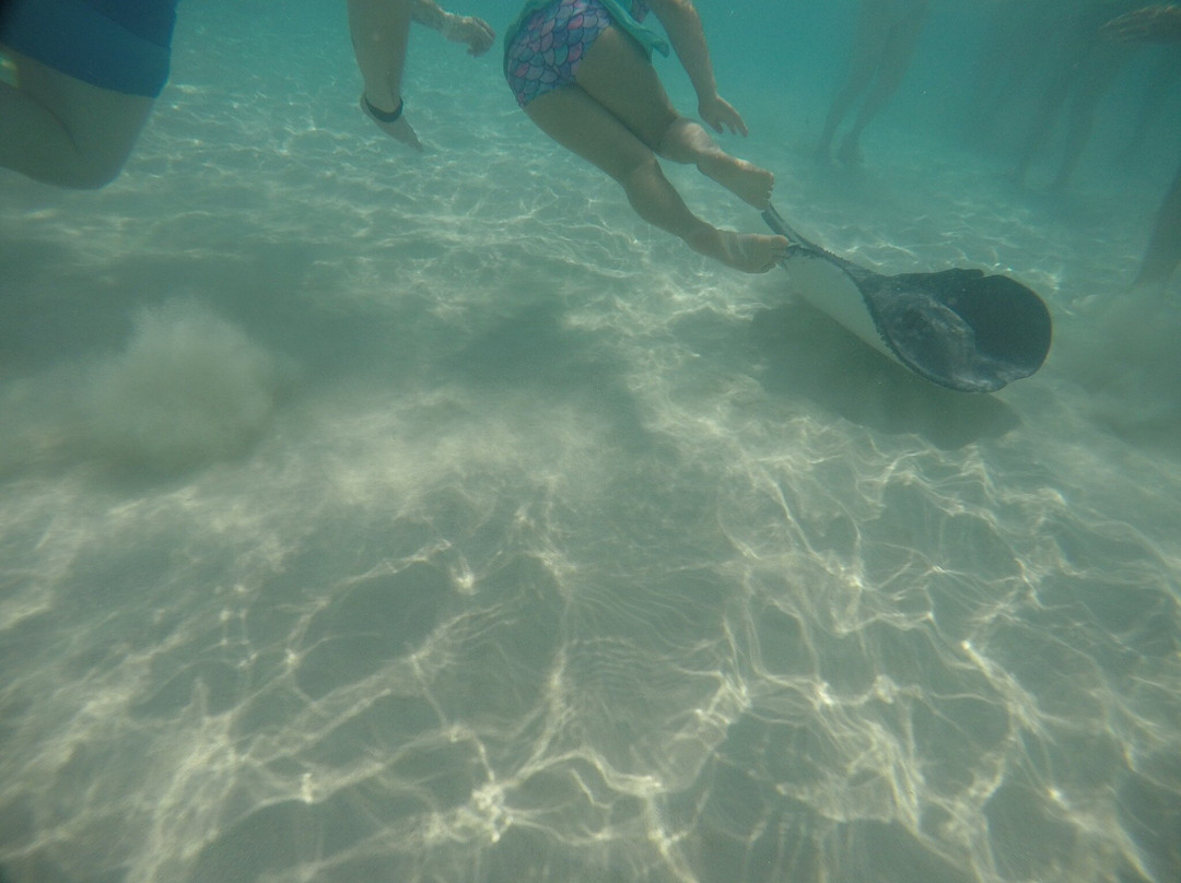 Blue Haven Charters-Rum Point必去景点