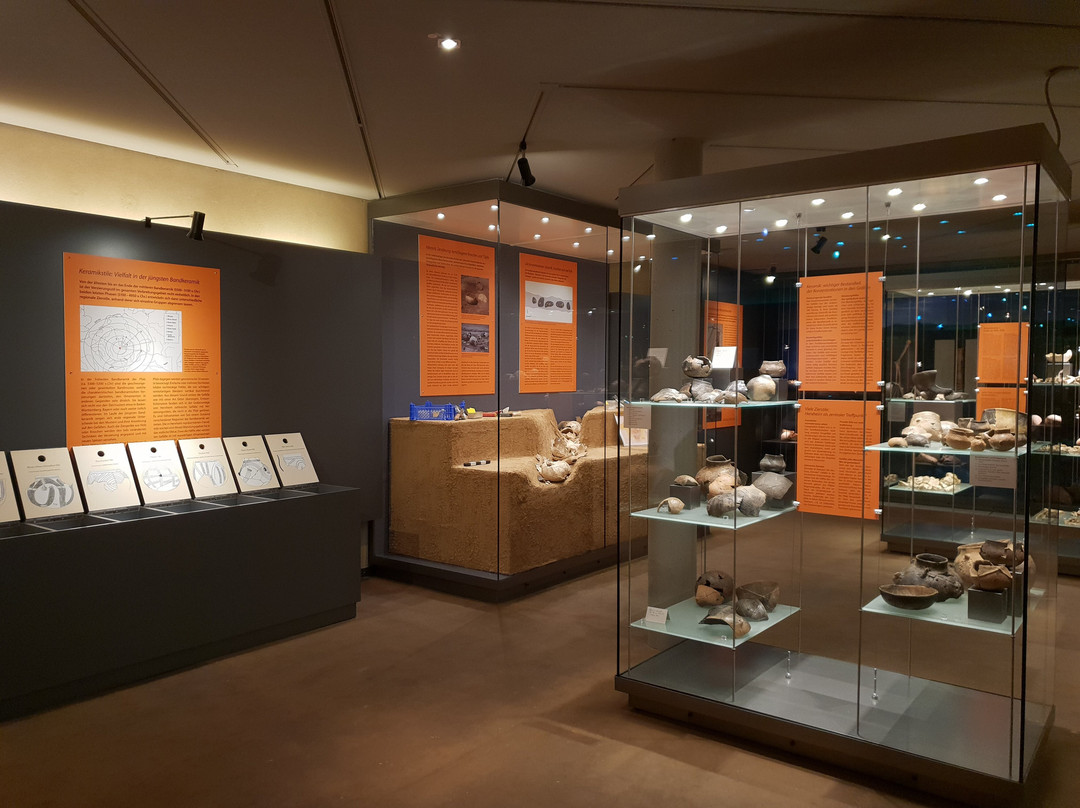 Museum Herxheim景点图片