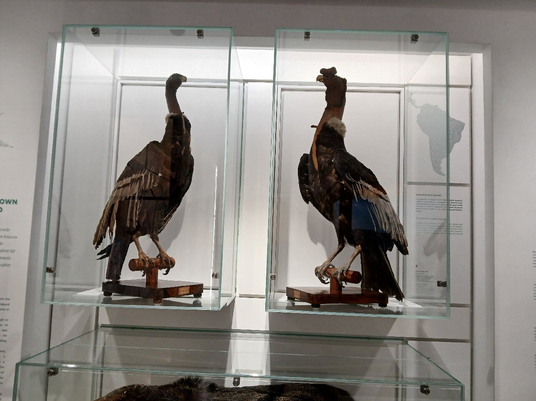 Kosmos - Natural History Museum-帕维亚必去景点