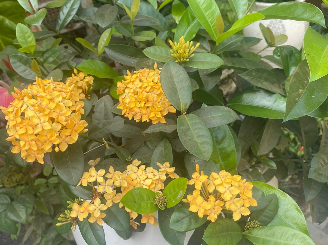 John's Highland Comfort主图