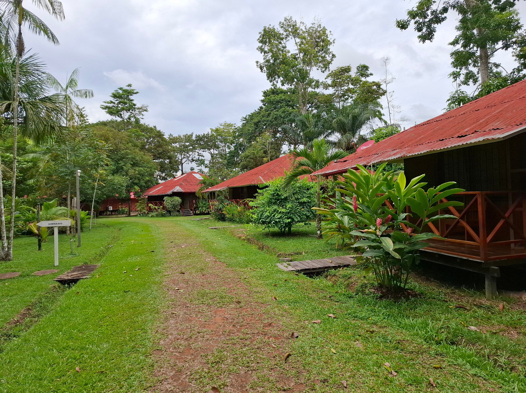 Manish Hotel Ecologico主图