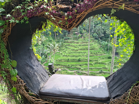 Wide Bali Tours-吉安雅必去景点