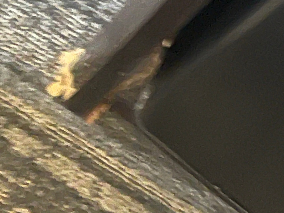 Hampton Inn Memphis/collierville主图