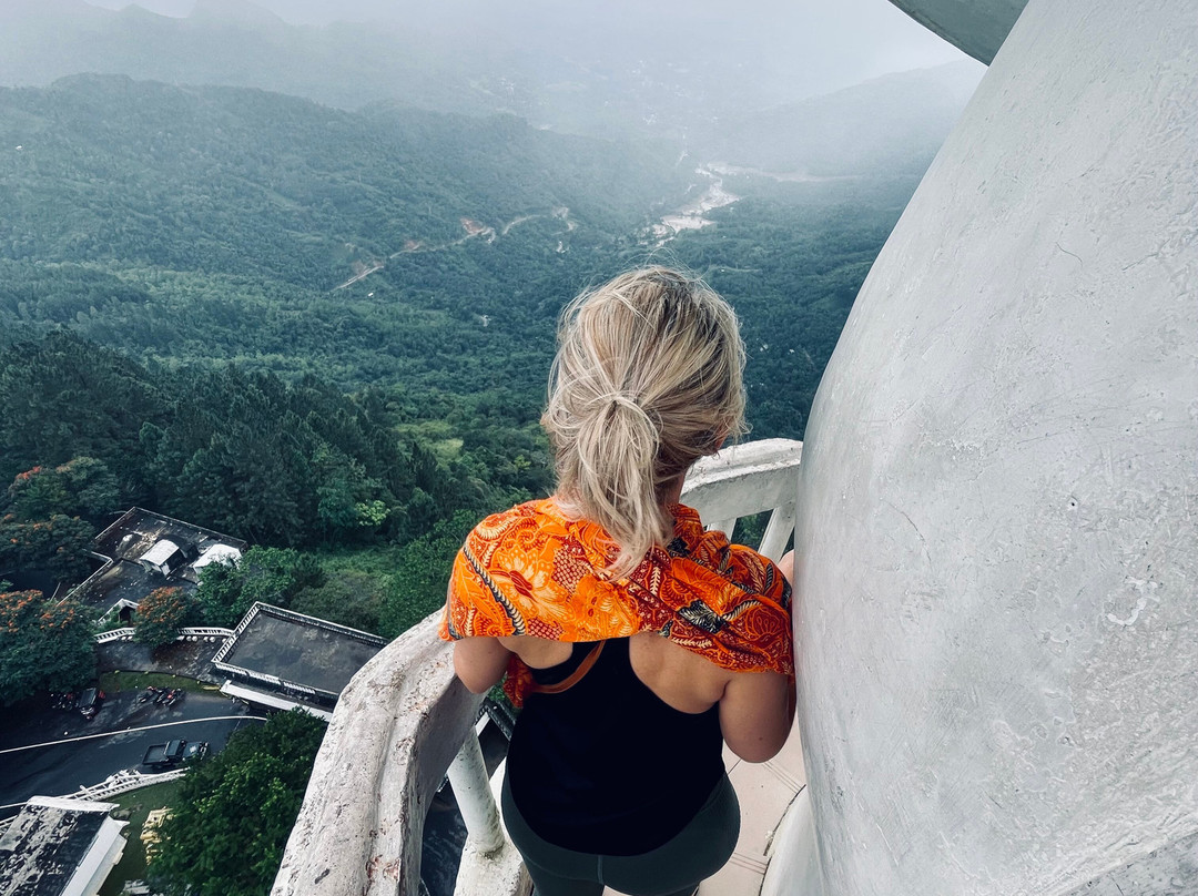 Ceylon Ayli景点图片