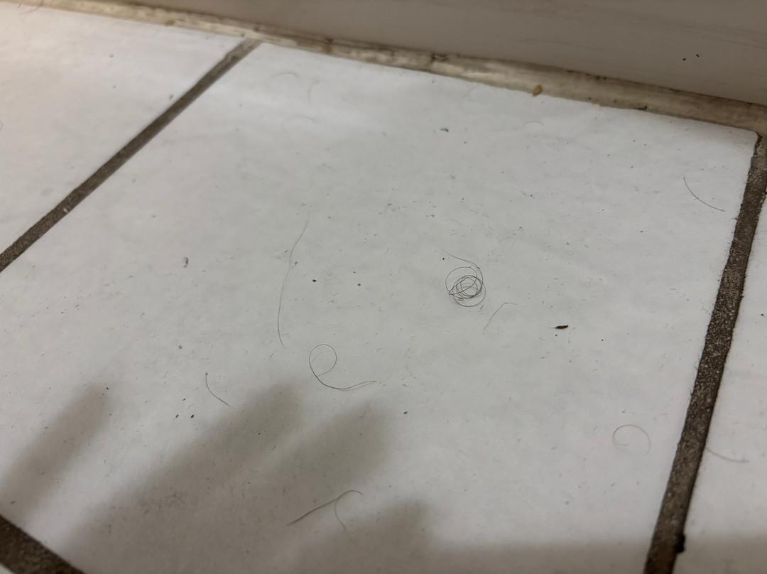 哥路堡旅程住宿酒店主图