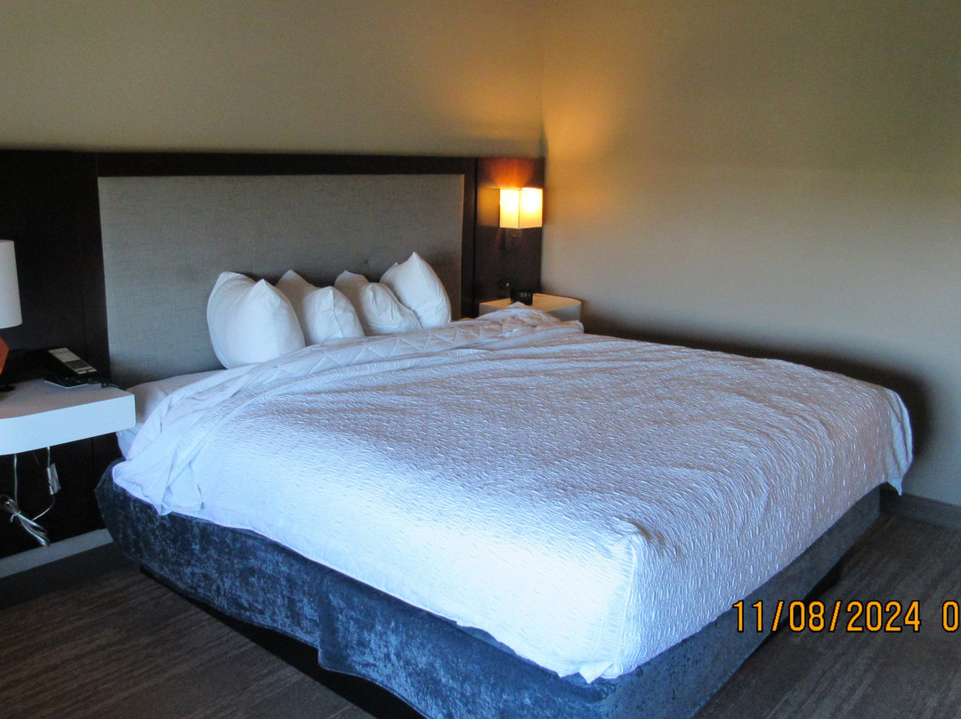 Hampton Inn  Livonia Detroit主图