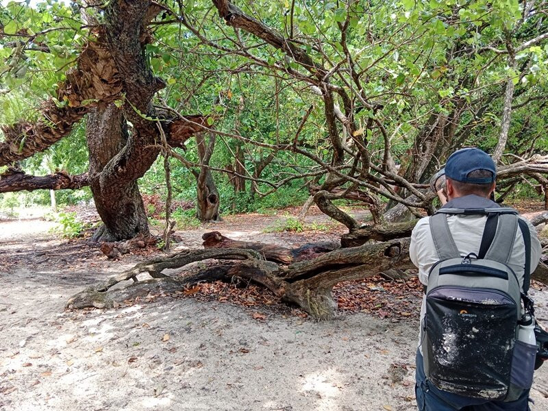 Ujung Kulon Tourism-Carita必去景点