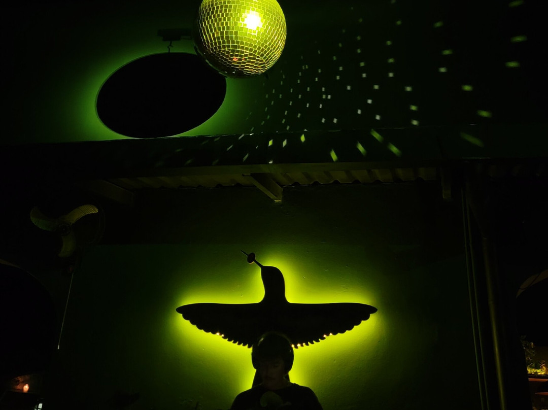 El Colibrí Cocktail Bar-瓦拉塔港必去景点