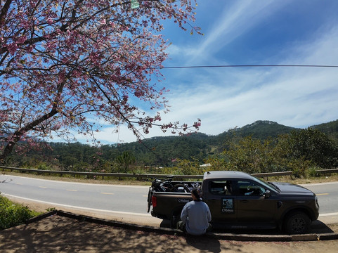 C9 Bikes Adventures-大勒必去景点