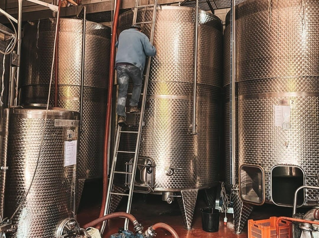 Azienda Agricola Ca Neuva景点图片