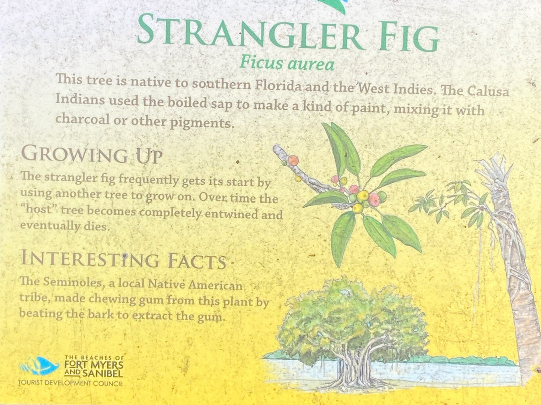 Mound House-迈尔斯堡海滩必去景点