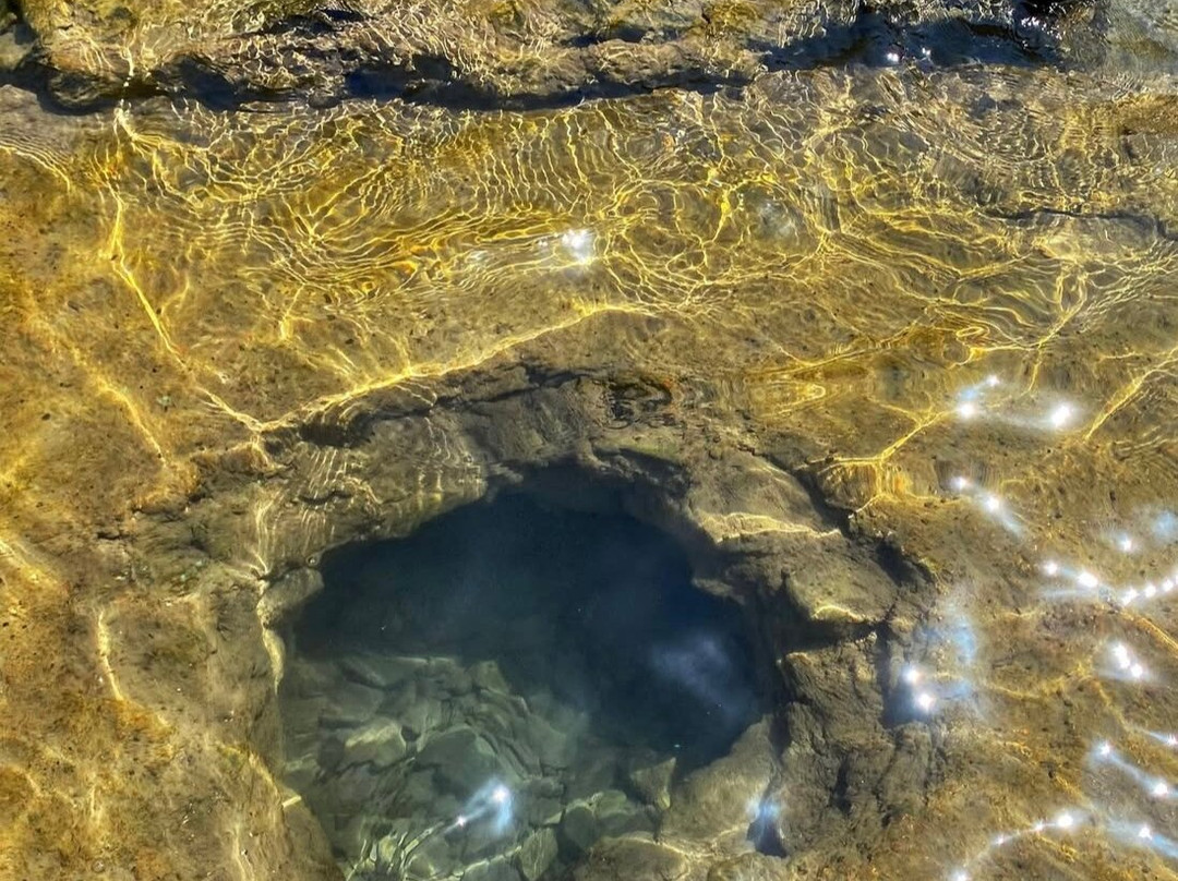 Falcon 1-戈西克必去景点