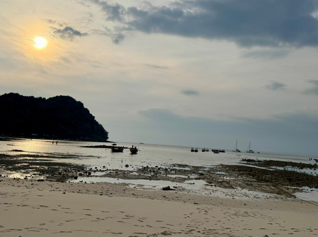 Jungle Trek Phi Phi Islands-大皮皮岛必去景点
