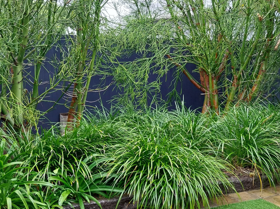 Ocean Bay Guest House主图