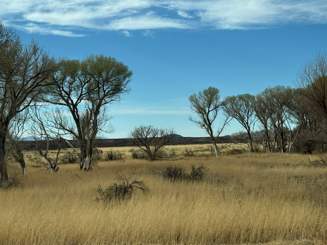 San Pedro Riparian National Conservation Area-谢拉维斯塔必去景点