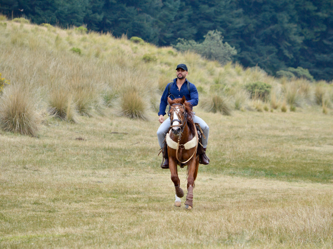 Entre Riendas Mx-Ocoyoacac必去景点