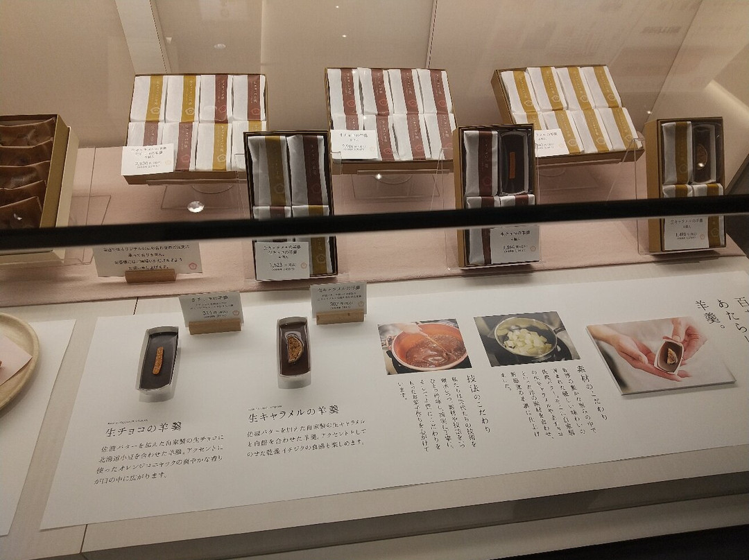 CoCoLo Niigata-新泻市必去景点