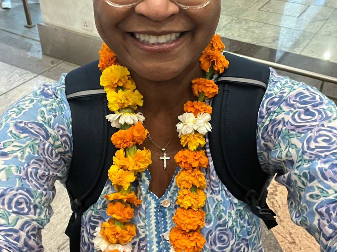 阿南德乐，横跨恒河主图