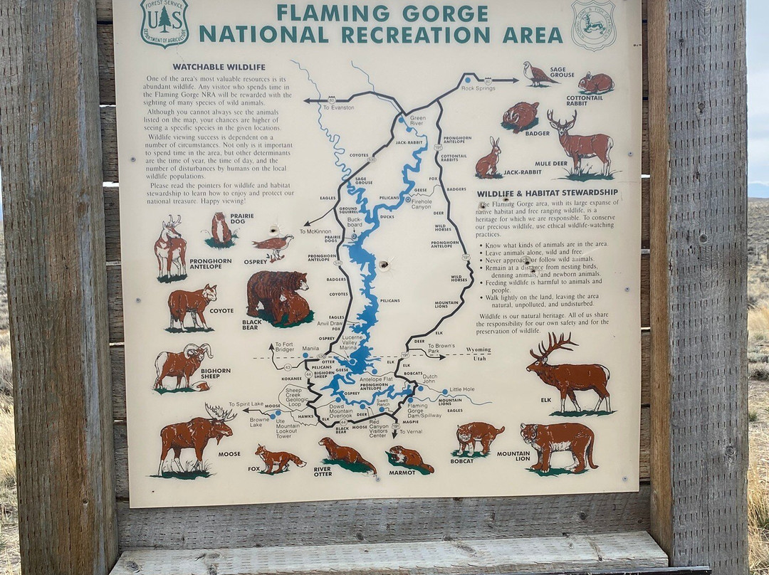 Little Bear Motel主图