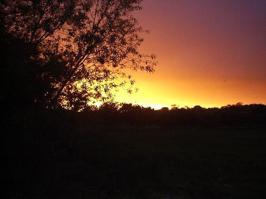 Welbeck Cottage主图