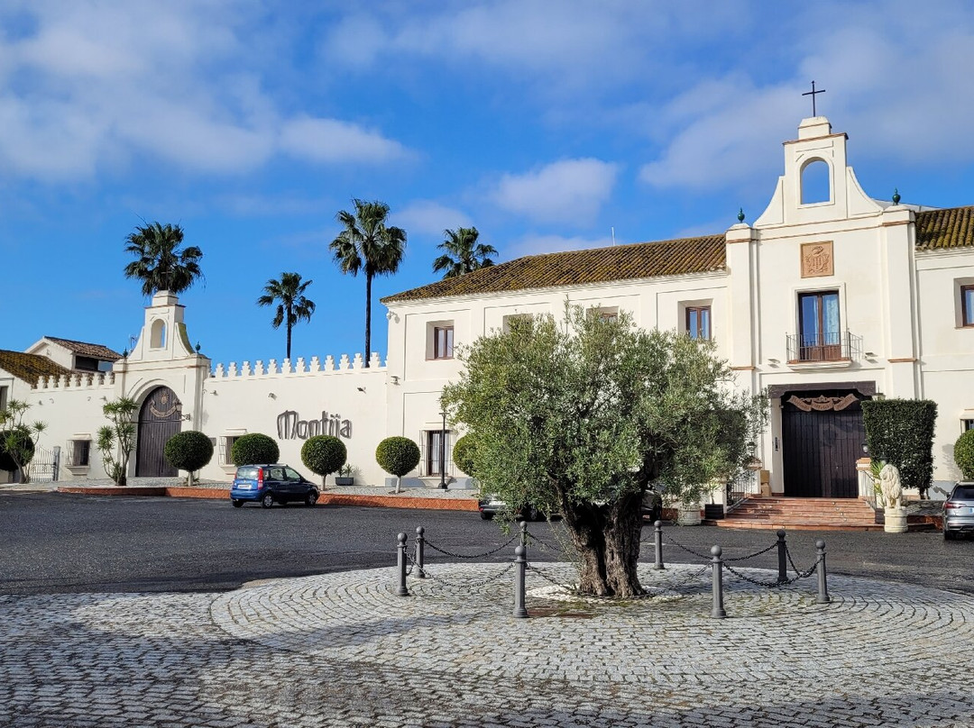 Hacienda Montija主图