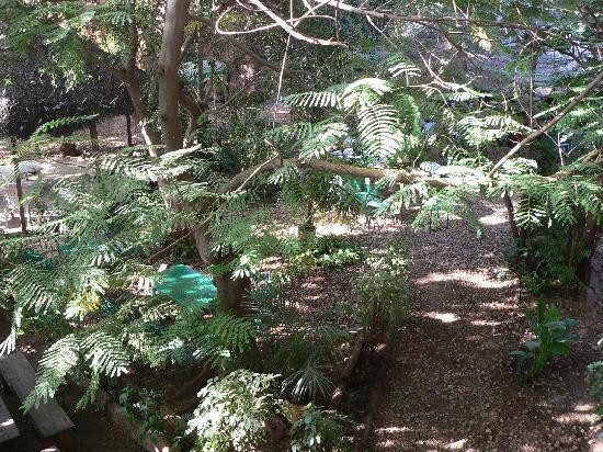 Le Pavillon Vert主图