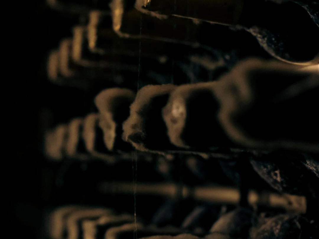 Cantine del Notaio景点图片