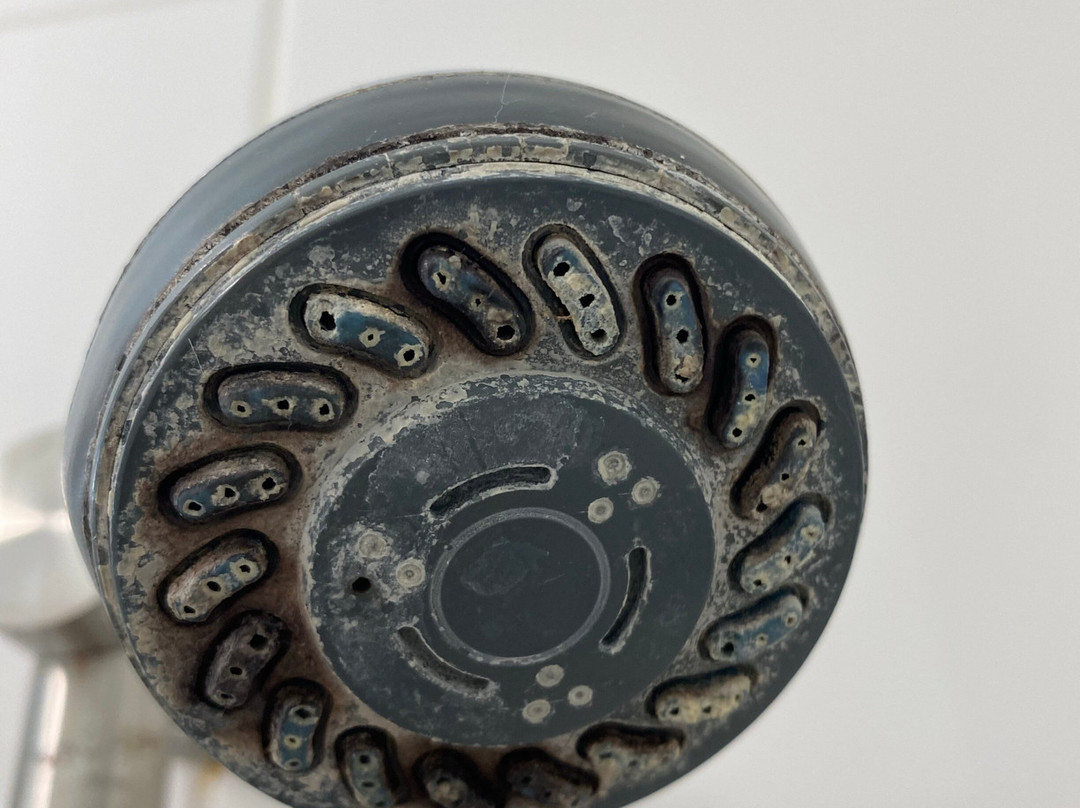 萨尔茨堡市中心埃维多酒店主图