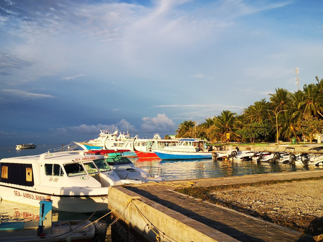 reef explorers maldives景点图片