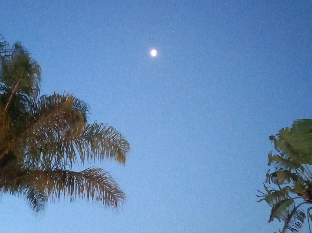 迪米特尔酒店主图