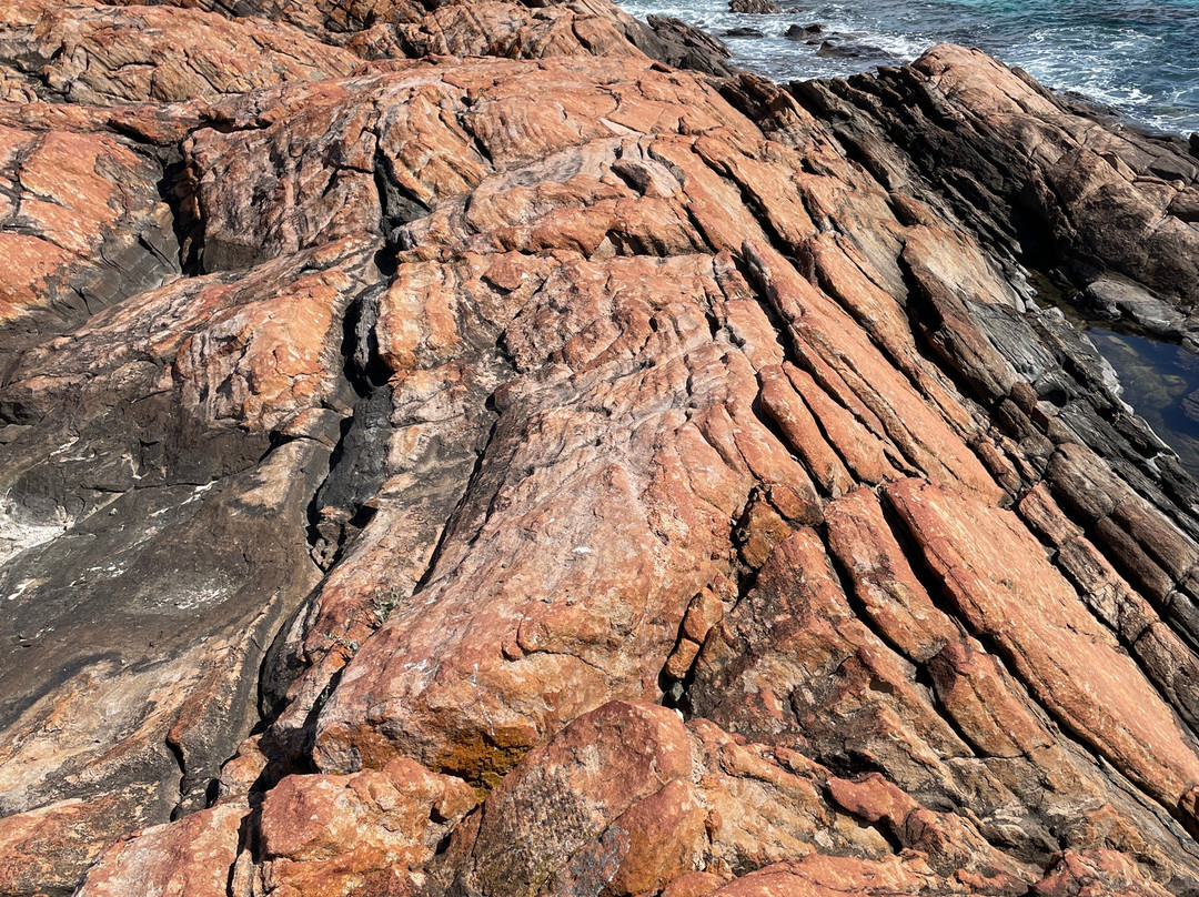 Geographe Bay-戴士柏必去景点