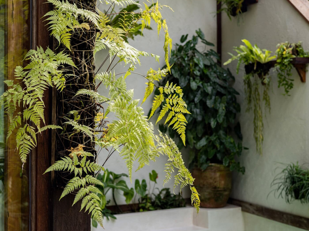 Casa Pohon Ubud主图