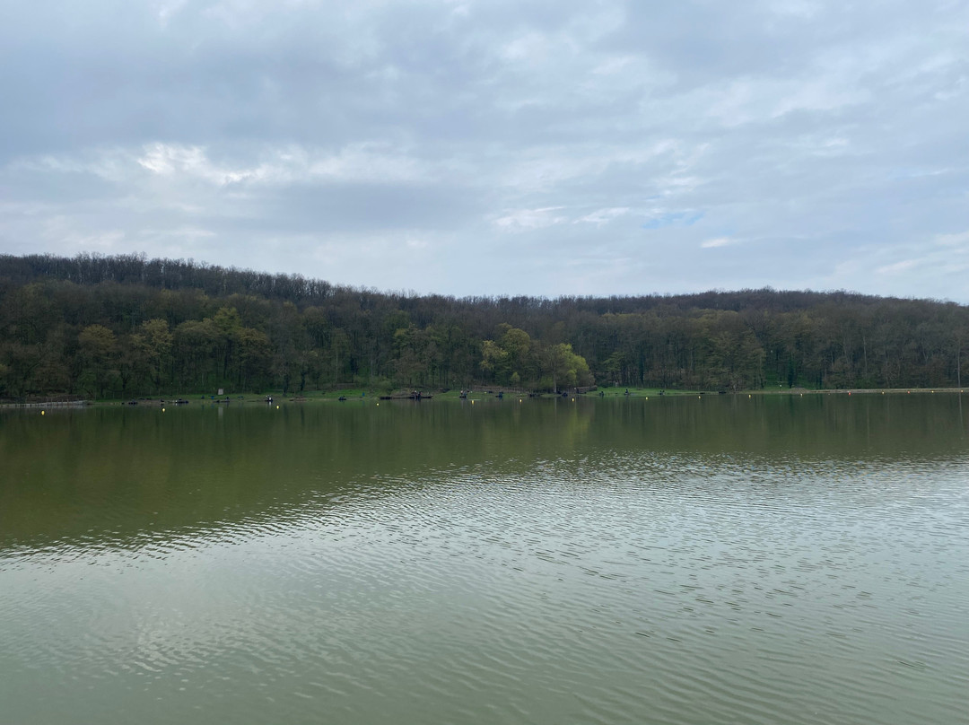 Herneacova Lake景点图片