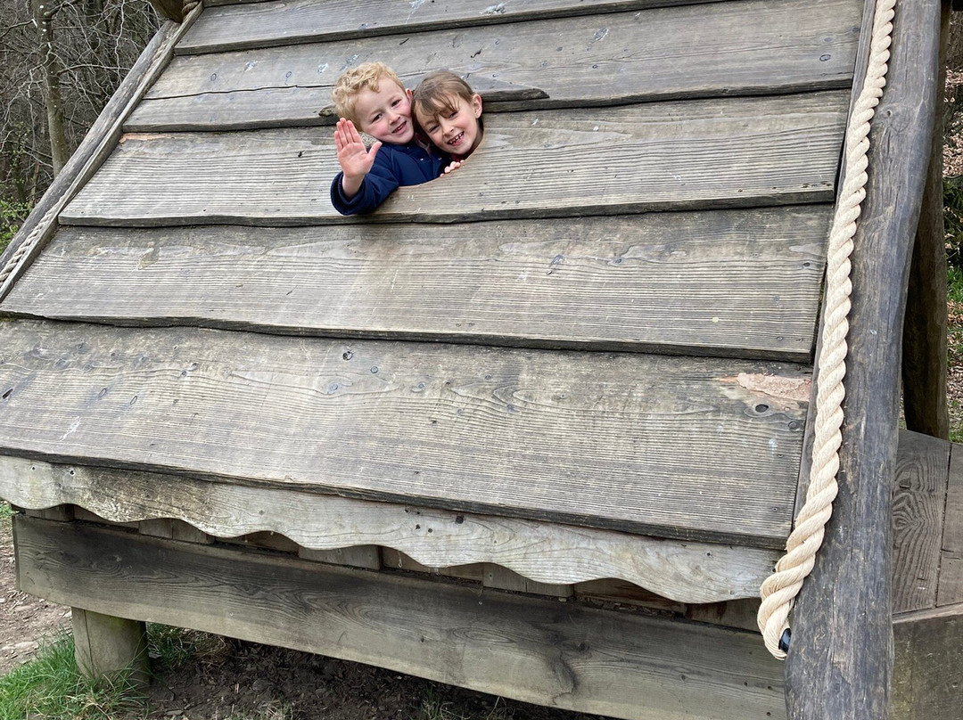 Hamsterley Forest-Hamsterley必去景点