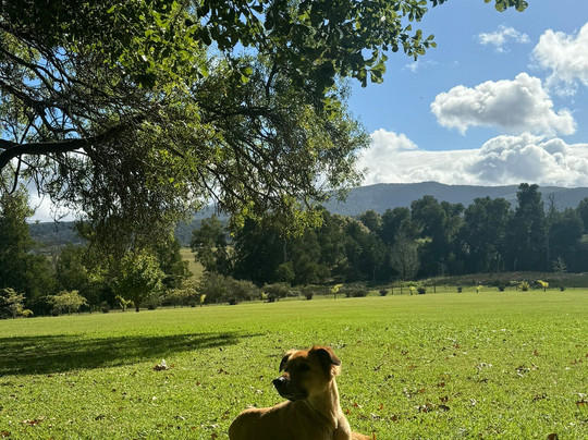 Vala House-Rheenendal必去景点