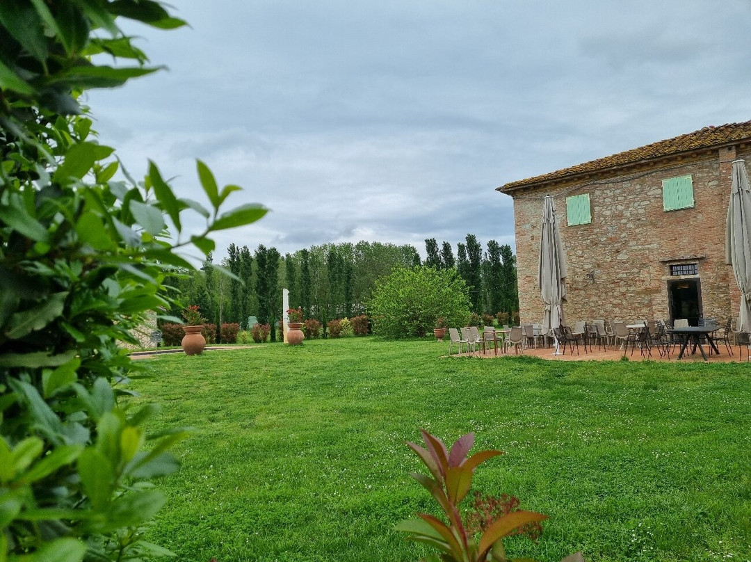 Fattoria Vialto