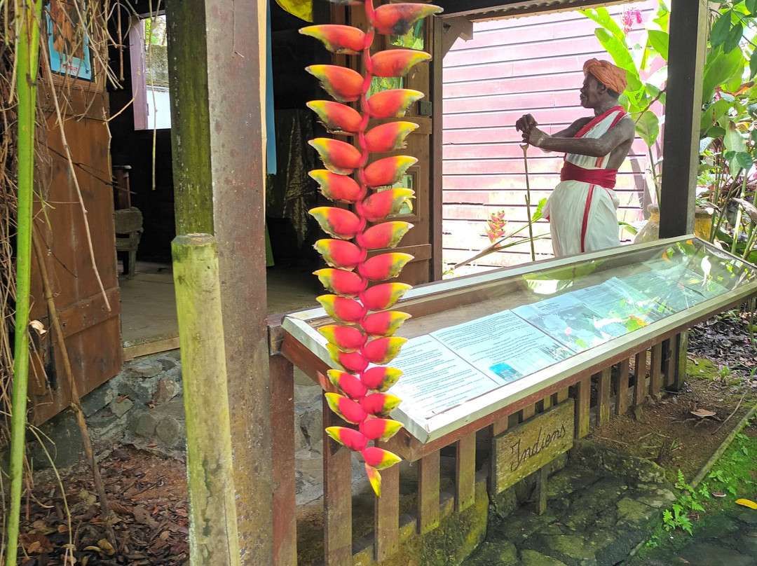 Ecomusee Creoleart de la Guadeloupe-Sainte Rose必去景点