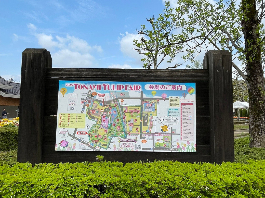 Tonami Tulip Park-砺波市必去景点