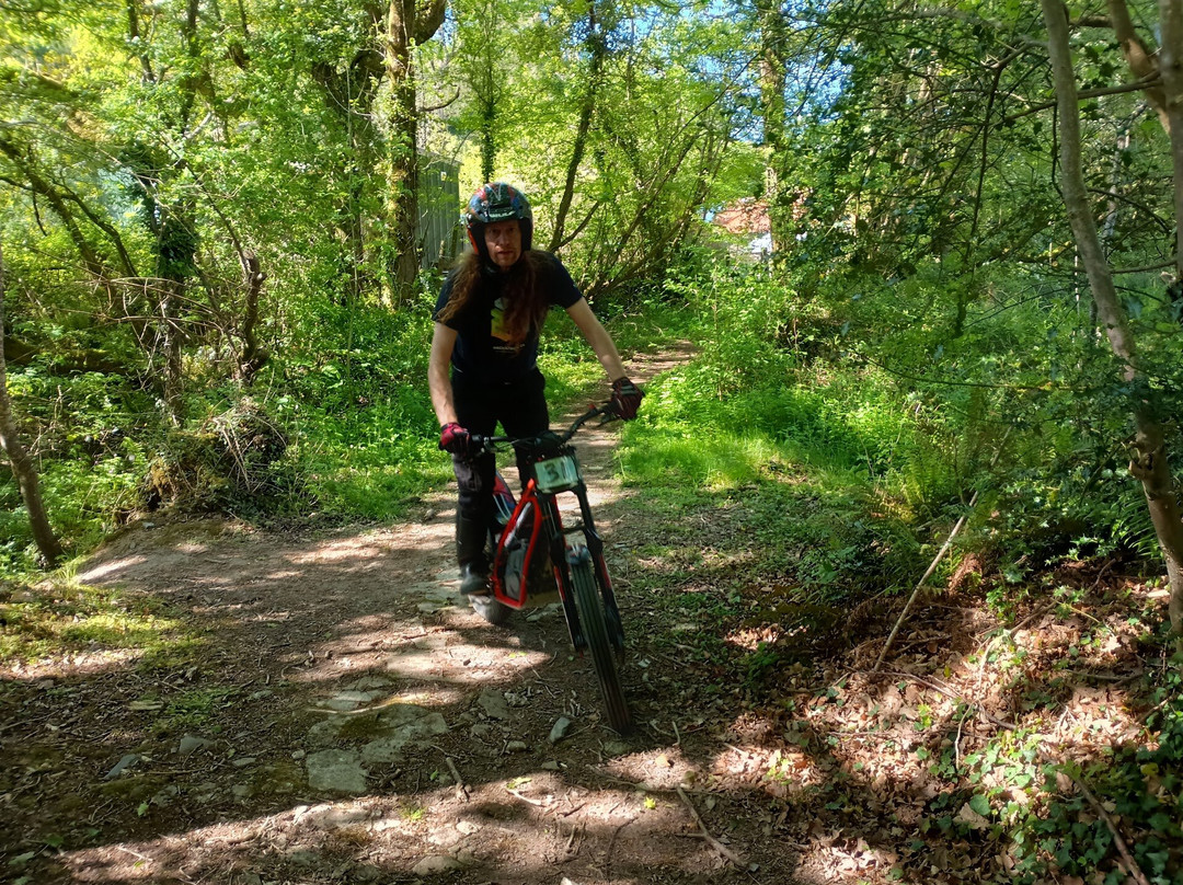 Trydan Off Road Centre-Cenarth必去景点