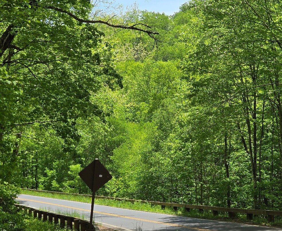 The Tunnel To Nowhere-布赖森城必去景点