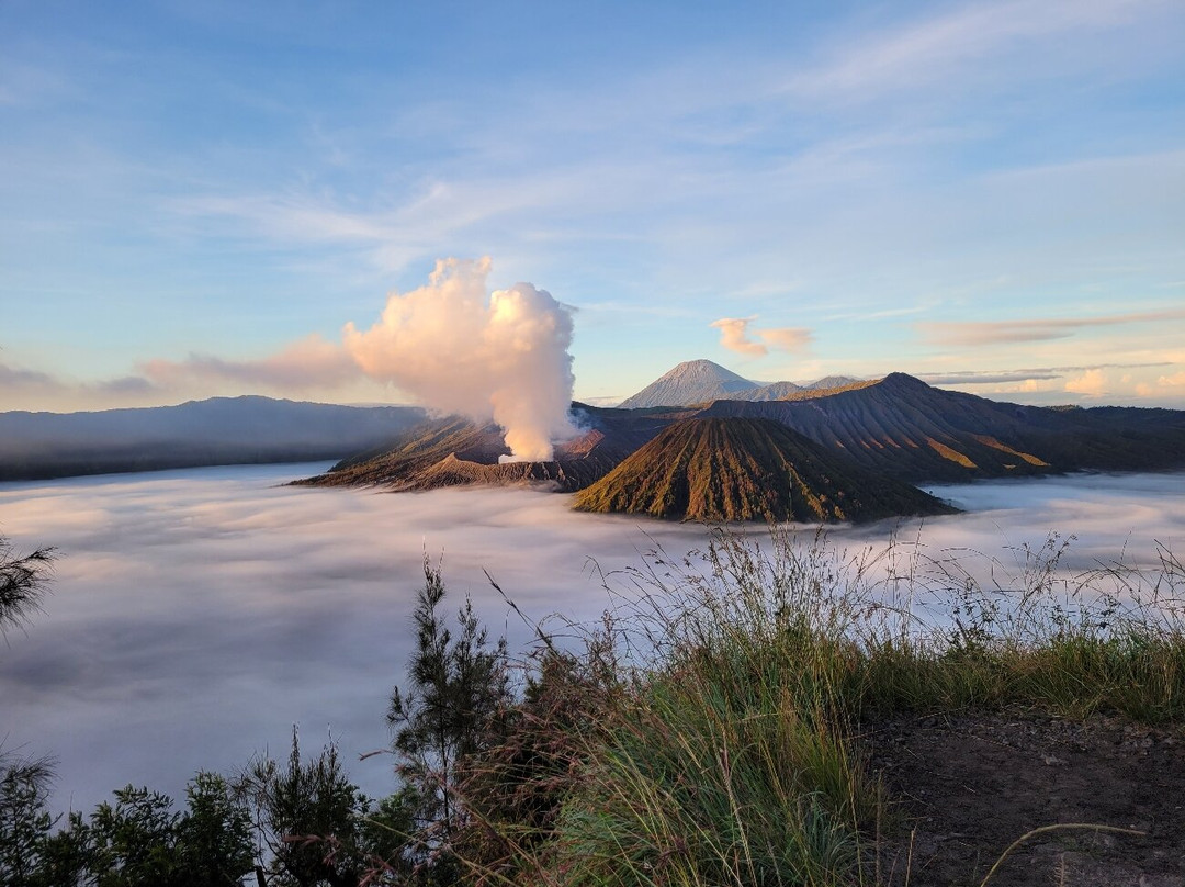Seruni Point Bromo-Sukapura必去景点