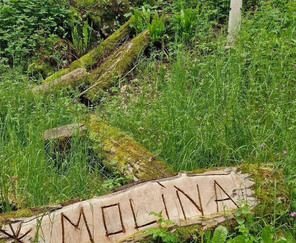 Parco delle Cascate di Molina-Molina必去景点