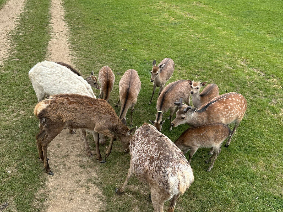 Bucklebury Farm Park-Bucklebury必去景点