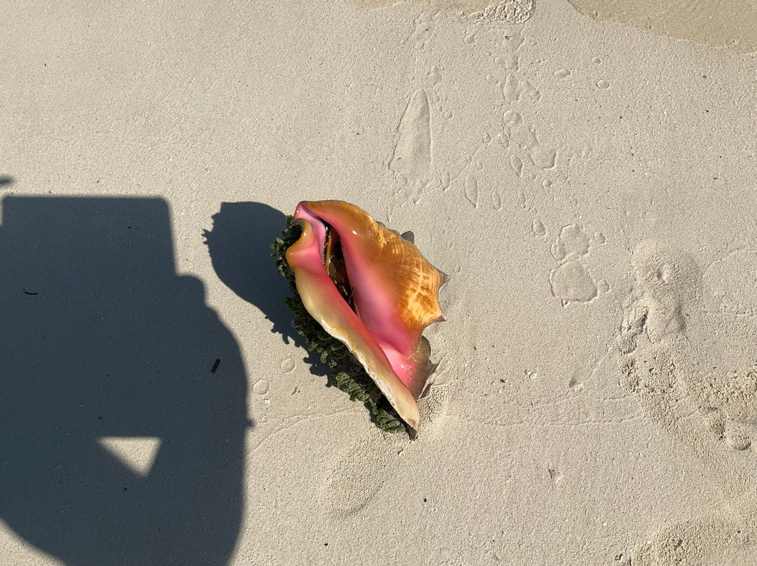 Iberostar Coral Ensenachos主图