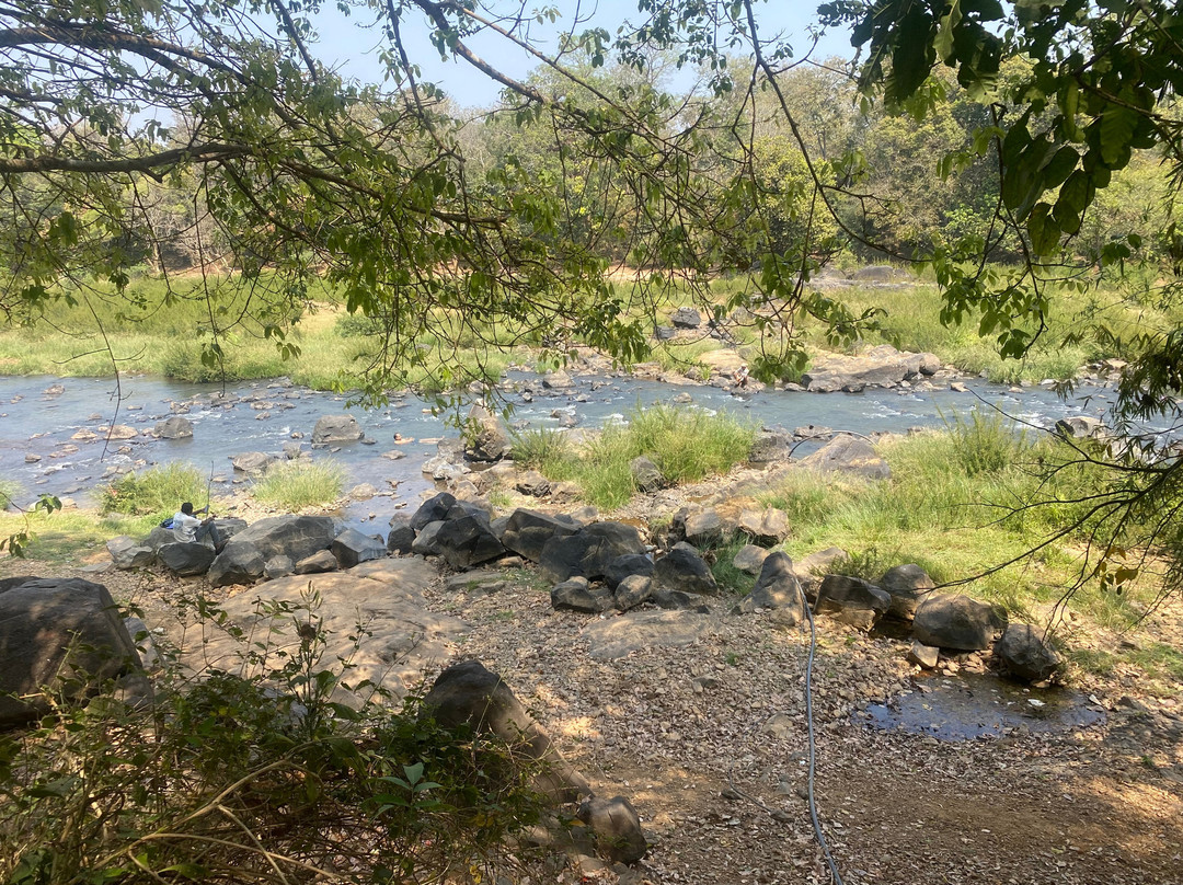 Ayurveda Yoga Villa Group Of Retreat Centres And Hospitals主图